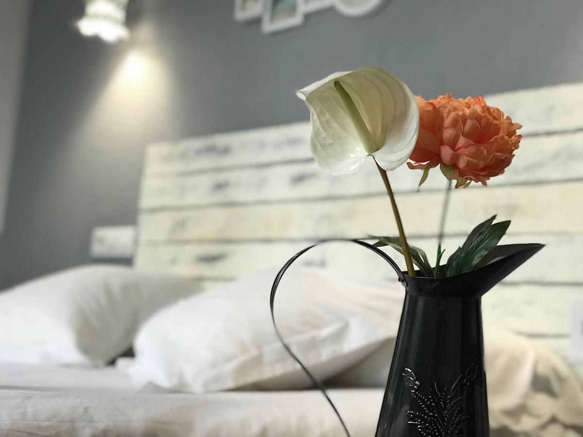 Oasis Backpackers' Auberge de jeunesse Tolède